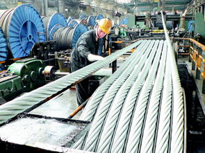 畢節市人民政府門戶網站