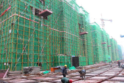 鼎泰 金色家園丨工匠心筑精品,美好生活在靠近 最新工程進度播報